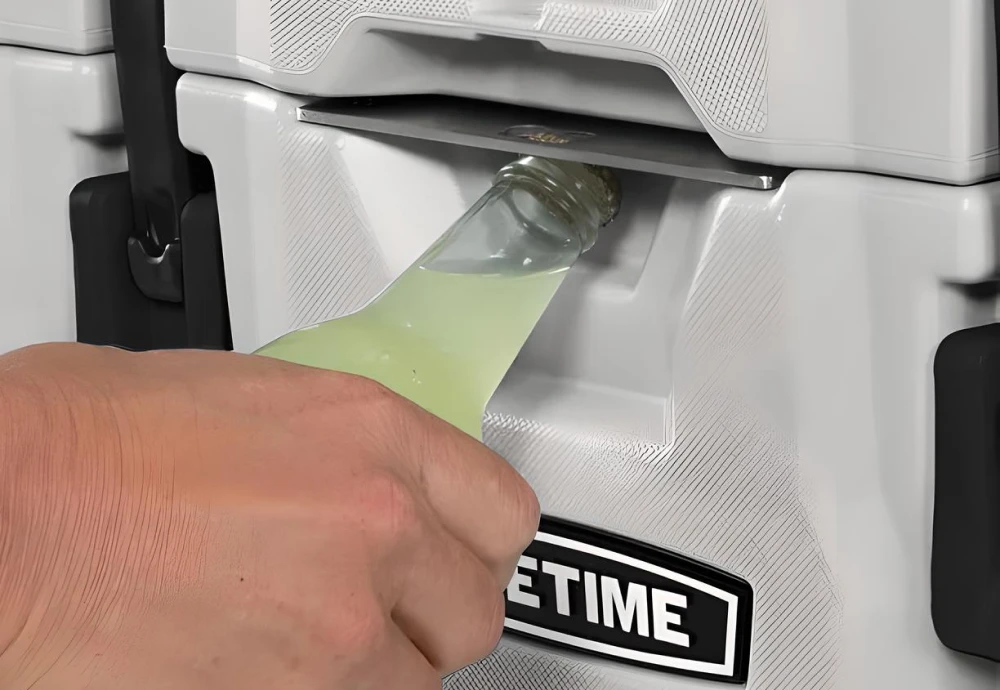 portable food cooler box